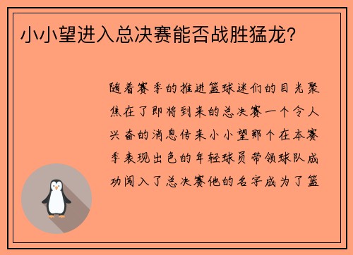 小小望进入总决赛能否战胜猛龙？